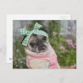 Schitterend gekleed Chinees afbeelding Briefkaart (Voorkant / Achterkant)