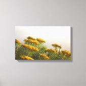 Schitterend gele bloemen — Verhard Canvas afdrukke (Voorkant)