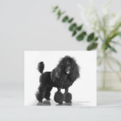 Schitterend, getrimd, zwart, compleet poebellichaa briefkaart (Staand voorkant)