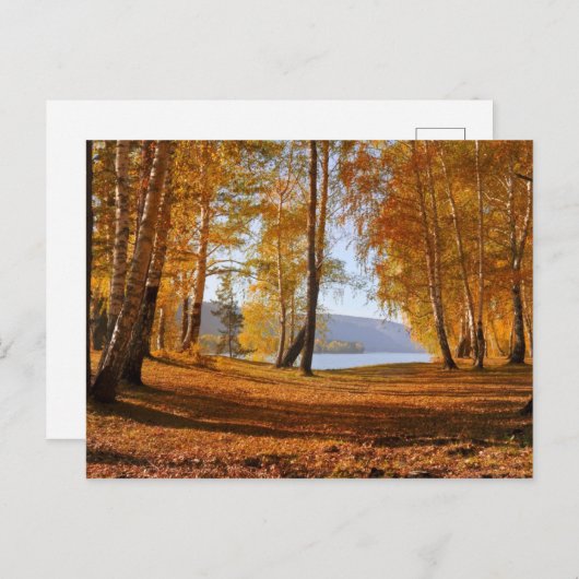 Schitterend herfstlandschap briefkaart (Voorkant / Achterkant)