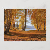 Schitterend herfstlandschap briefkaart (Voorkant)