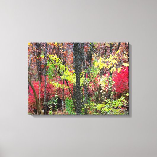 Schitterend herfstlandschap foto op canvas afdruk (Voorkant)