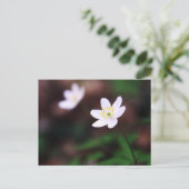 Schitterend hout Anemone Vloer Briefkaart (Staand voorkant)