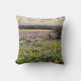 Schitterend landschap in het Midwesten van het Boe Kussen