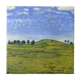 Schitterend landschap van de Zwitserse Alpen (Ferd Tegeltje