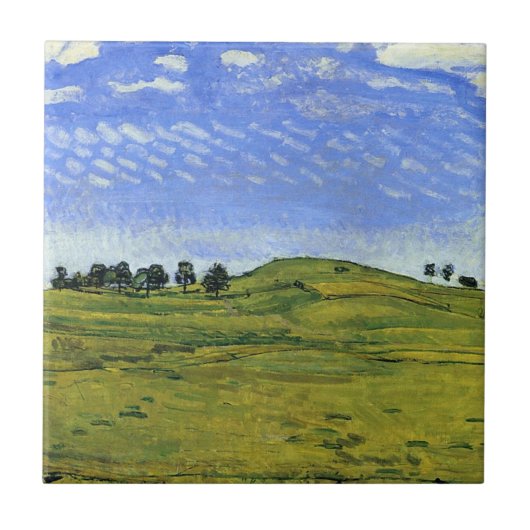 Schitterend landschap van de Zwitserse Alpen (Ferd Tegeltje (Voorkant)