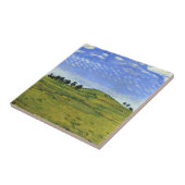 Schitterend landschap van de Zwitserse Alpen (Ferd Tegeltje (Zijkant)