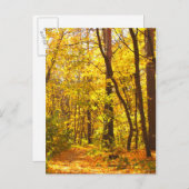 Schitterend landschap - weg in het herfstbos briefkaart (Voorkant / Achterkant)