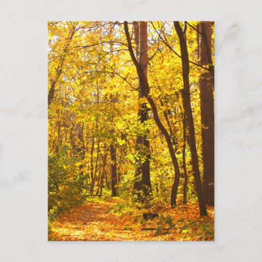 Schitterend landschap - weg in het herfstbos briefkaart (Voorkant)