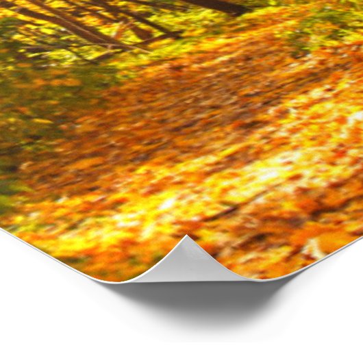 Schitterend landschap - weg in het herfstbos poster (Hoek)