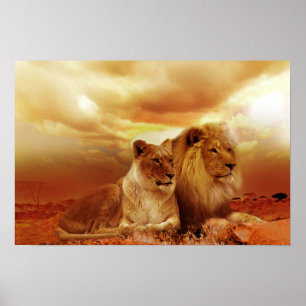 Schitterend leeuwstel poster