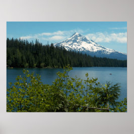 Schitterend Mount Hood-landschap Poster