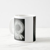 Schitterend opbergvak voor ammoniëtisch afbeelding koffiemok (Voorkant links)