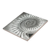 Schitterend opbergvak voor ammoniëtisch afbeelding tegeltje (Zijkant)