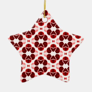 Schitterend Ornament met de kerstster van Glam, do
