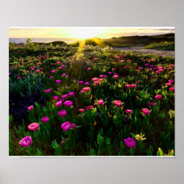 Schitterend poster voor de zon