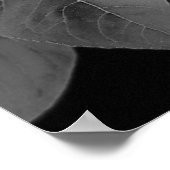 Schitterend Poster zonnebloem in zwart-wit (Hoek)