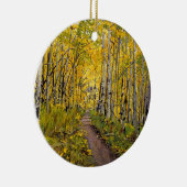 Schitterend Schilderachtig najaar spoor in Aspen T Keramisch Ornament (Rechts)