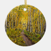 Schitterend Schilderachtig najaar spoor in Aspen T Keramisch Ornament (Voorkant)