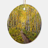 Schitterend Schilderachtig najaar spoor in Aspen T Keramisch Ornament (Links)