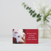 Schitterend Snowy White Dog Red Visitekaartje (Staand voorkant)