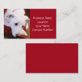Schitterend Snowy White Dog Red Visitekaartje (Voorkant / Achterkant)