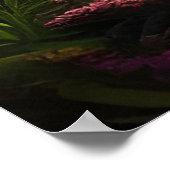 Schitterend tropisch eilandlandschap in de Stille  Poster (Hoek)