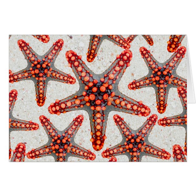Schitterend vibrant Red Starfish Sand Ocean Sealif (Voorkant Horizontaal)