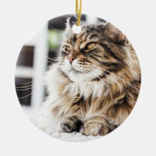 Schitterend vloeiend tafelblad met Siberisch Perzi Keramisch Ornament