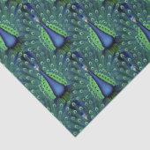 Schitterend weddenschap-pauw-papier tissuepapier (Detail)