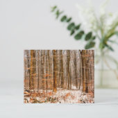 Schitterend winterbos met sneeuw briefkaart (Staand voorkant)