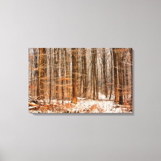 Schitterend winterbos met sneeuw canvas afdruk (Voorkant)