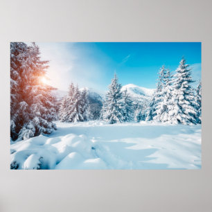 Schitterend winterlandschap in de natuur, verbluff poster