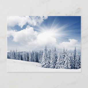 Schitterend winterlandschap met sneeuw briefkaart