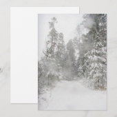 Schitterend winterlandschap met sneeuwweg feestdagenkaart (Voorkant / Achterkant)