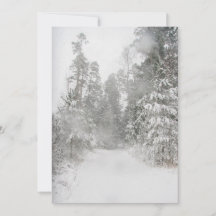 Schitterend winterlandschap met sneeuwweg