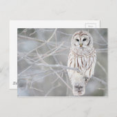 Schitterend wit ontwerp voor de sneeuwknol briefkaart (Voorkant / Achterkant)