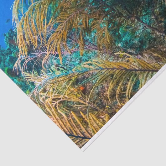 Schitterend Zee schildpad zeewater Tissuepapier (Detail)