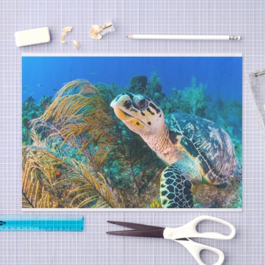 Schitterend Zee schildpad zeewater Tissuepapier (Craft)