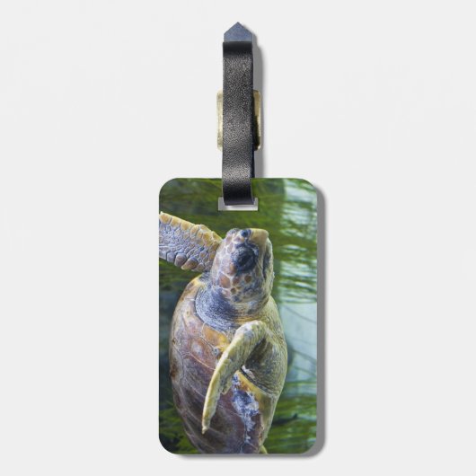 Schitterend Zee Schorrelschoppen Bagagelabel (Achterkant verticaal)