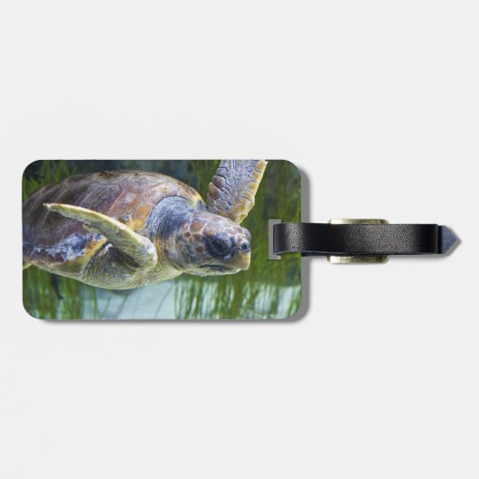 Schitterend Zee Schorrelschoppen Bagagelabel (Achterkant horizontaal)