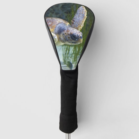 Schitterend Zee Schorrelschoppen Golfheadcover (Voorkant)