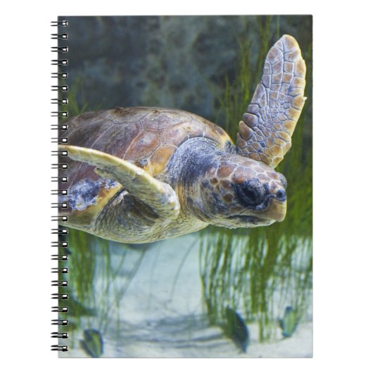 Schitterend Zee Schorrelschoppen Notitieboek (Voorkant)