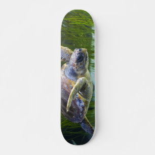 Schitterend Zee Schorrelschoppen Persoonlijk Skateboard