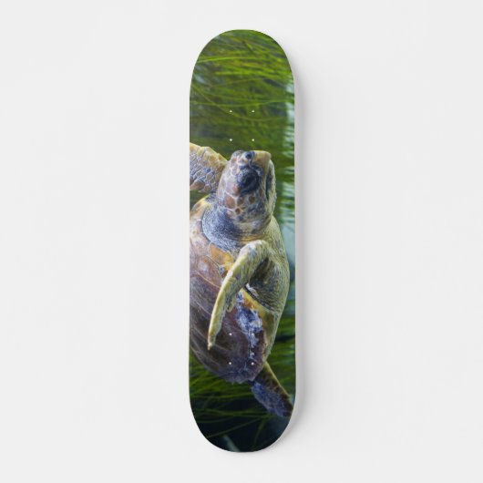 Schitterend Zee Schorrelschoppen Persoonlijk Skateboard (Voorkant)
