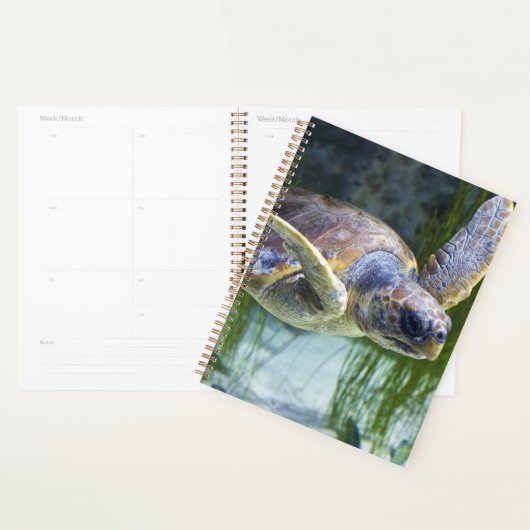 Schitterend Zee Schorrelschoppen Planner (Display)