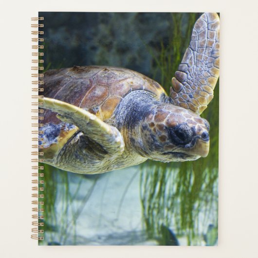Schitterend Zee Schorrelschoppen Planner (Voorkant)