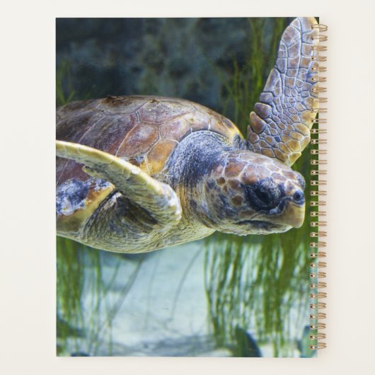 Schitterend Zee Schorrelschoppen Planner (Achterkant)