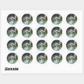 Schitterend Zee Schorrelschoppen Ronde Sticker (Vel)