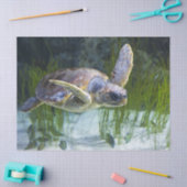 Schitterend Zee Schorrelschoppen Tissuepapier (Craft)